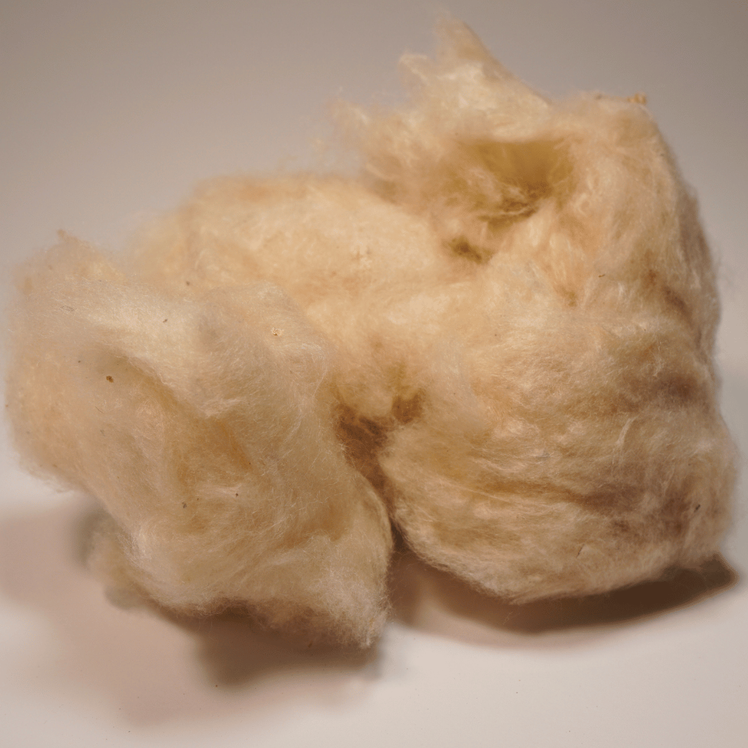 Kapok Wolle
