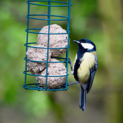Weitere nützliche Dinge