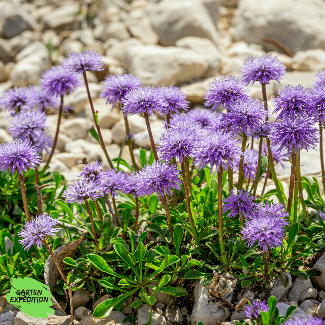 künstliche blätter grün Künstliche Pflanzen Grüne Blätter Deko für Hochzeits- und Heimdekorati –  kunstblumenshop main image 1