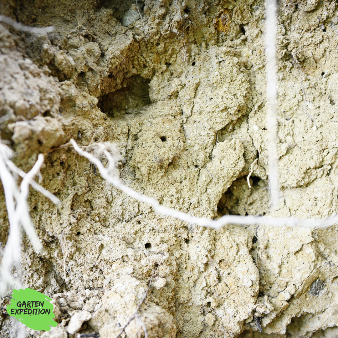 Nistwandmischung - Lehm und Sand - Nisthilfe