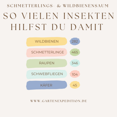 Schmetterlings- und Wildbienensaum