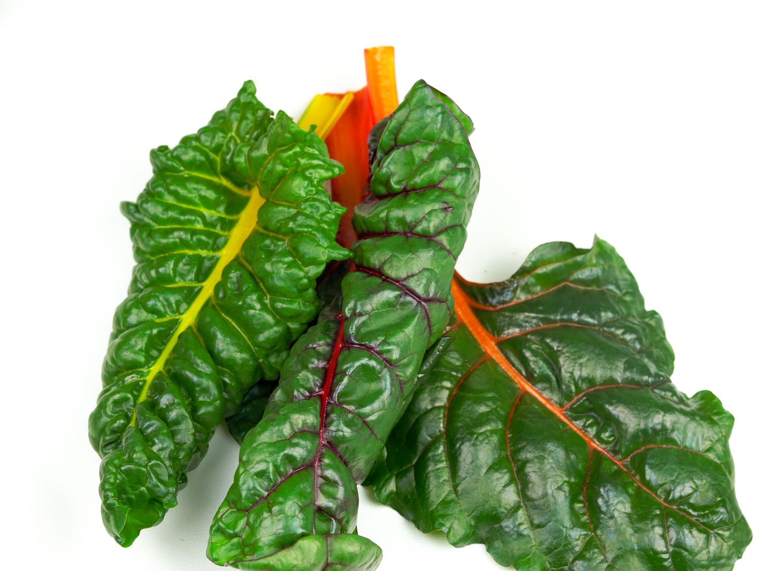 Rainbow Swiss Chard (4.5 oz)