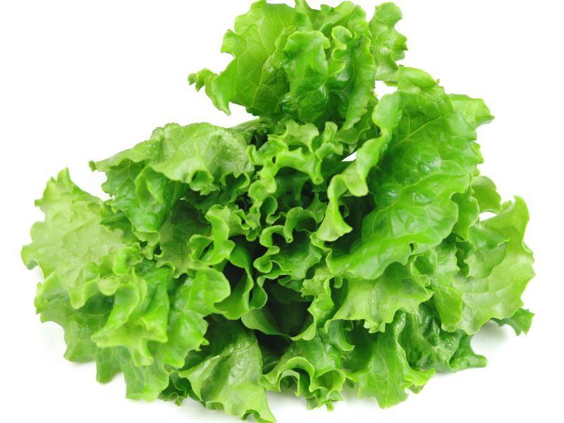 Green Star Romaine (4.5 oz)