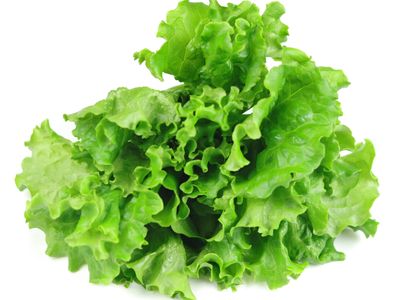 Green Star Romaine (4.5 oz)