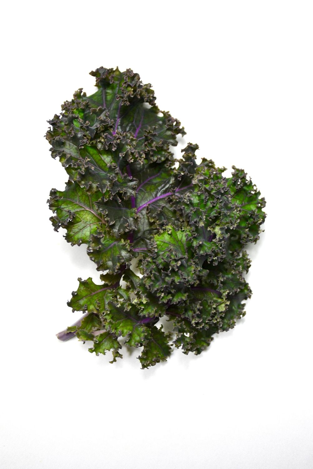 Redbor Kale (4.5 oz)