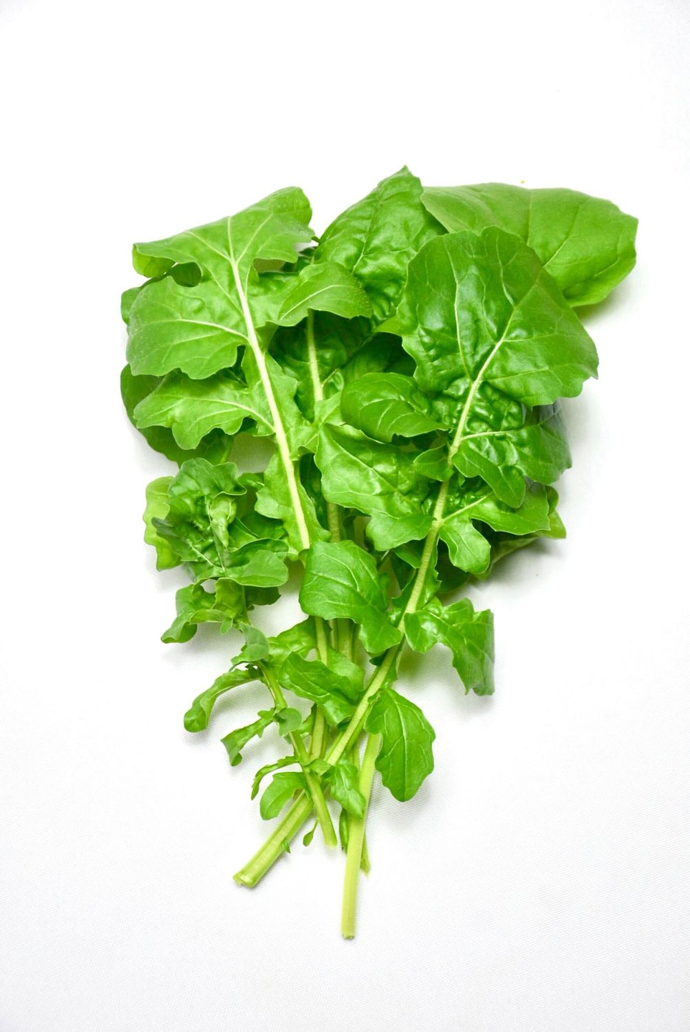 Astro Arugula (4.0 oz)