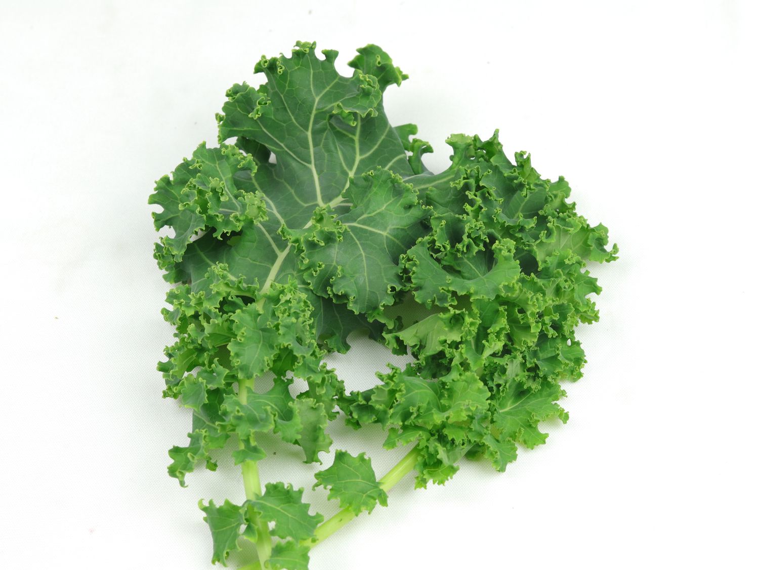 Dwarf Curly Kale (4.5 oz)