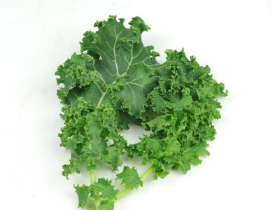 Dwarf Curly Kale (4.5 oz)