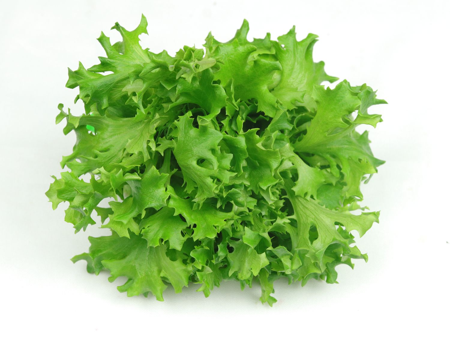 Rhone Leaf Lettuce (4.5oz)
