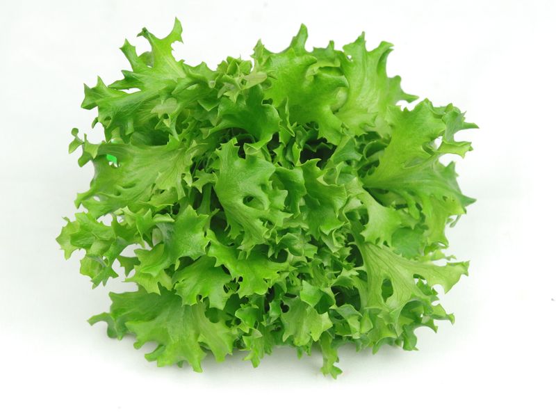 Rhone Leaf Lettuce (4.5oz)
