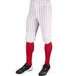 KNICKER CHAMPRO TRIPLE CROWN WHITE W. RED PINSTRIPE