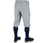 KNICKER CHAMPRO TRIPLE CROWN GRAY W. NAVY PINSTRIPE