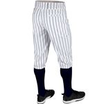 KNICKER CHAMPRO TRIPLE CROWN WHITE W. NAVY PINSTRIPE