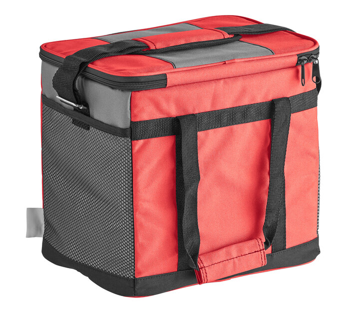 Small Red Cooler Bag