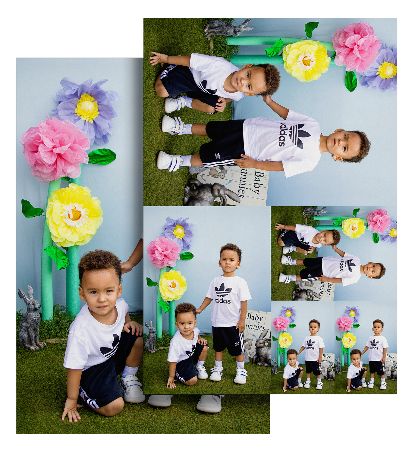 Baby Bunnies Sibling School Photos