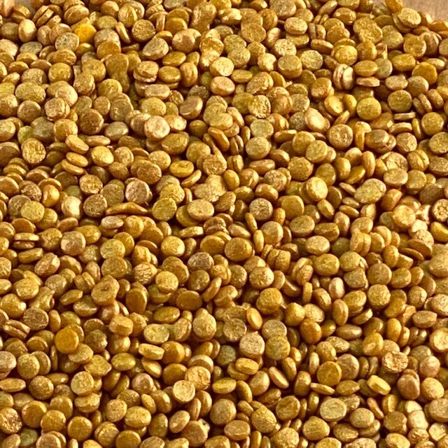 GD Quins Gold Confetti 2 oz.