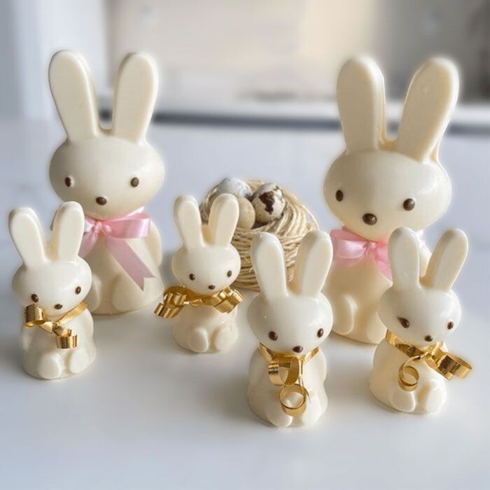 BWB Bunny 4 Cavities 3 Part Mold