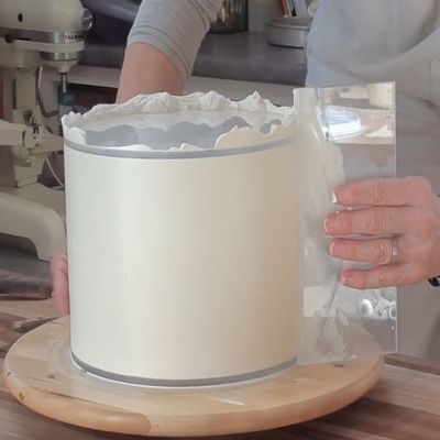 Acrylic Disks/ Scrapers