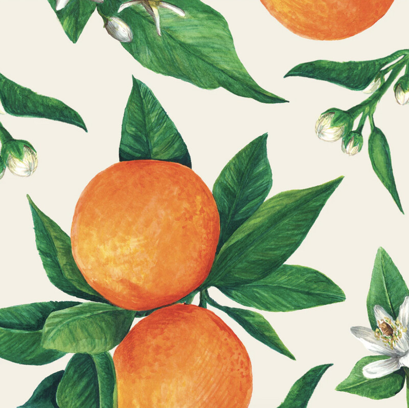 Cocktail Napkin