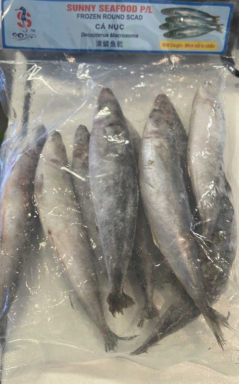 SUNNY FZ ROUND SCAD 1KG