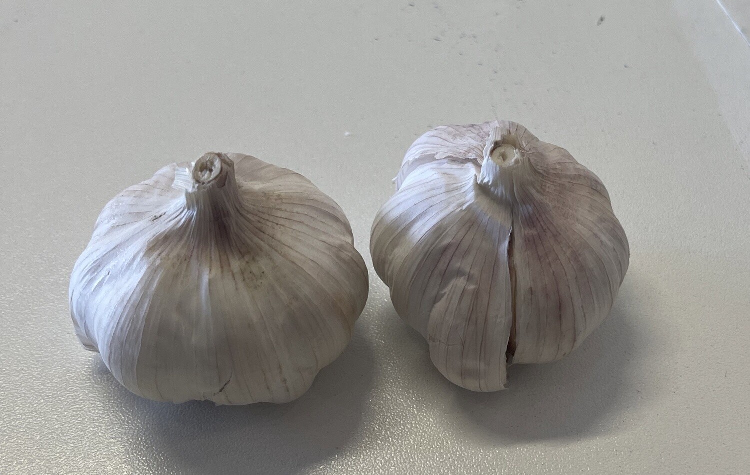 GARLIC $12/KG