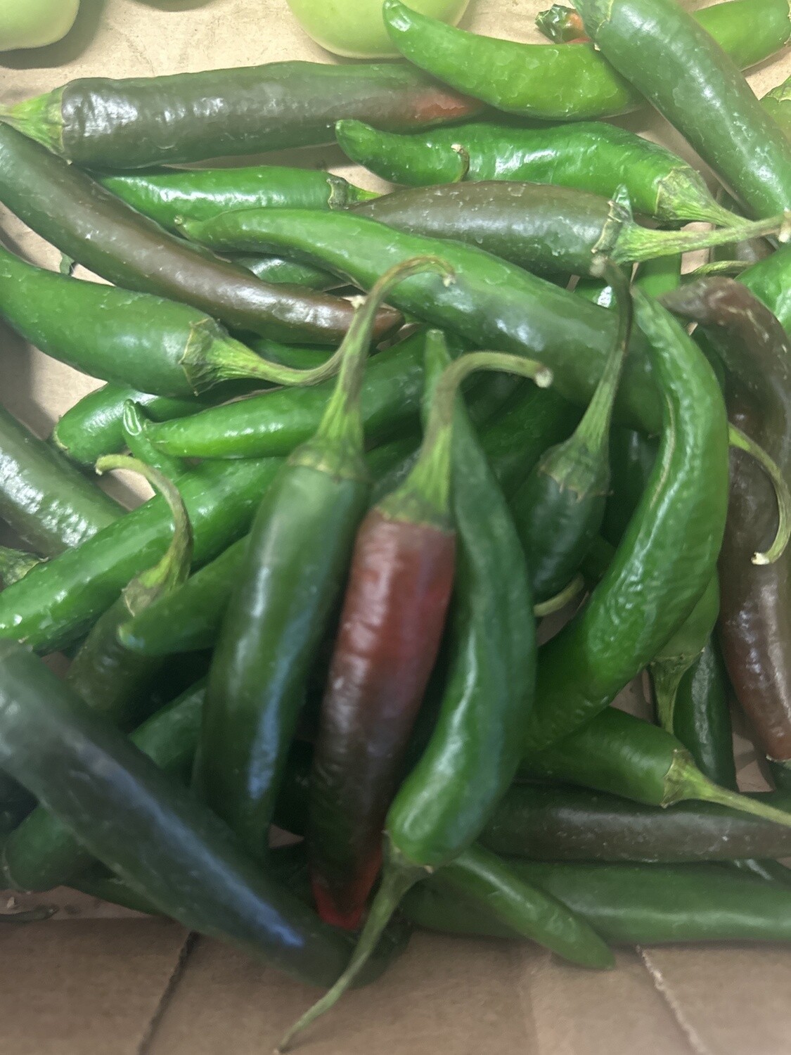 CHILLI GREEN MILD HOT LONG $20/KG