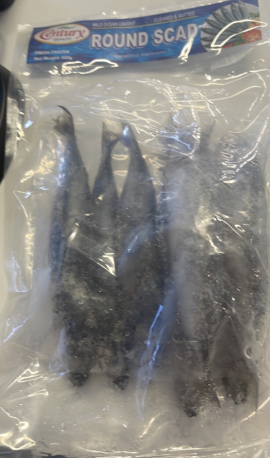 CENTURY ROUND SCAD (GALUNGGONG) GUTTED 500G