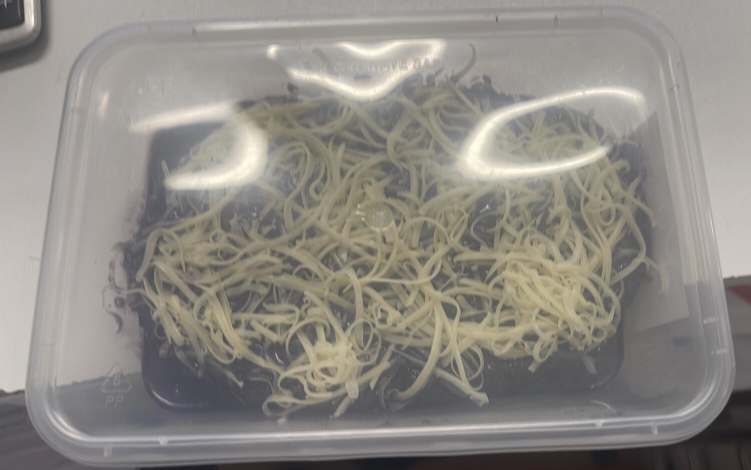 JMQ UBE CHEEZY MOIST CAKE TUB