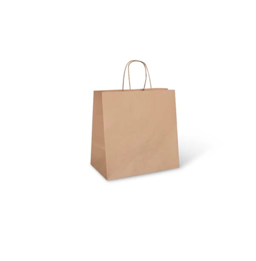 * STORE PAPER BAG 1X