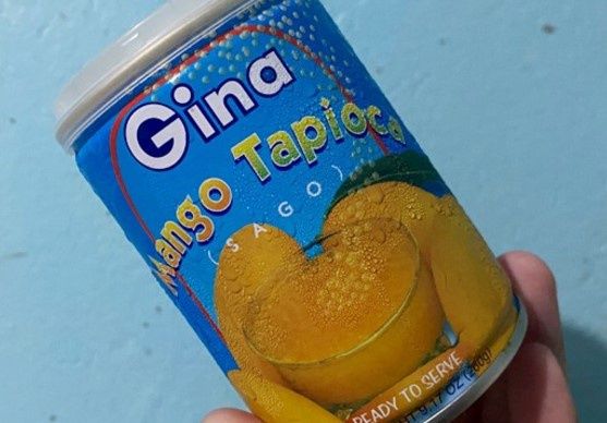 *GINA MANGO TAPIOCA 260G