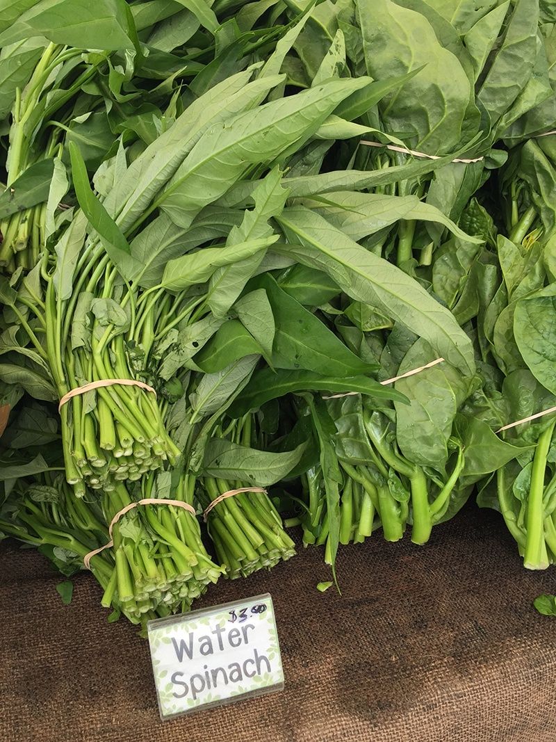 WATER SPINACH $8 BUNCH