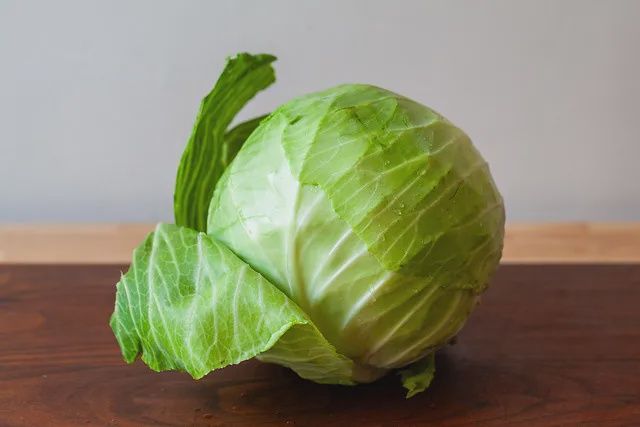 CABBAGE 3.60 /EACH