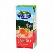 *COUNTRY CHOICE GUAVA JUICE DRINK 250ML