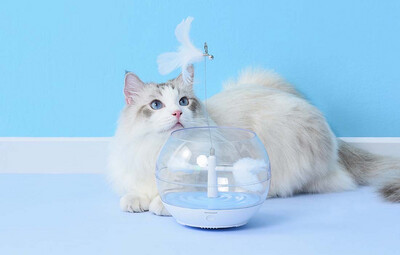 Hračka pro kočky - akvárium