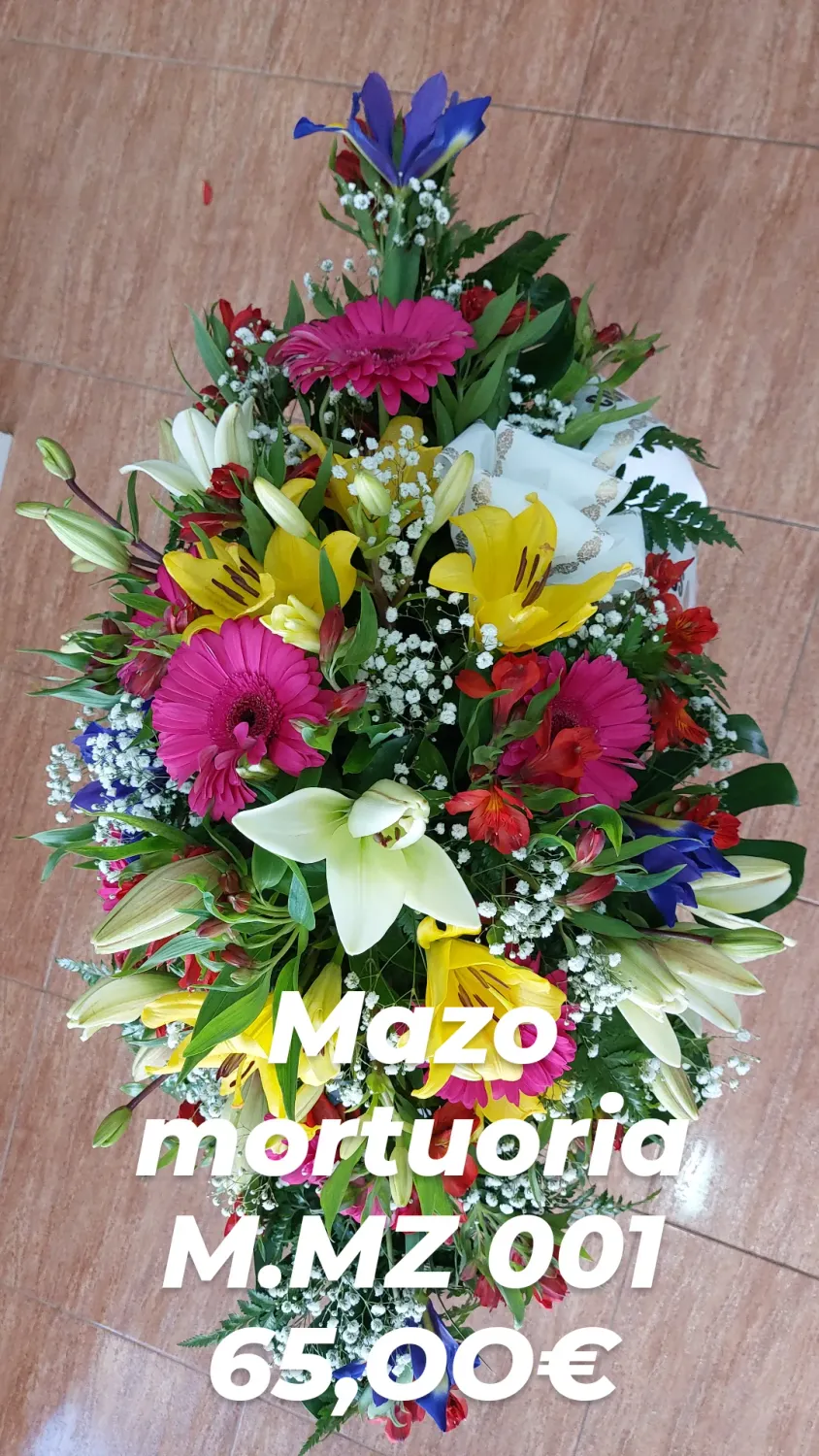 Mazo Mortuoria