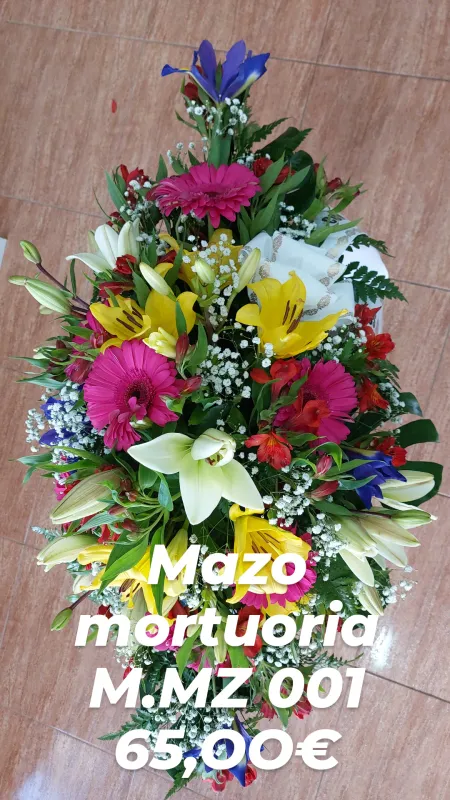 Mazo Mortuoria