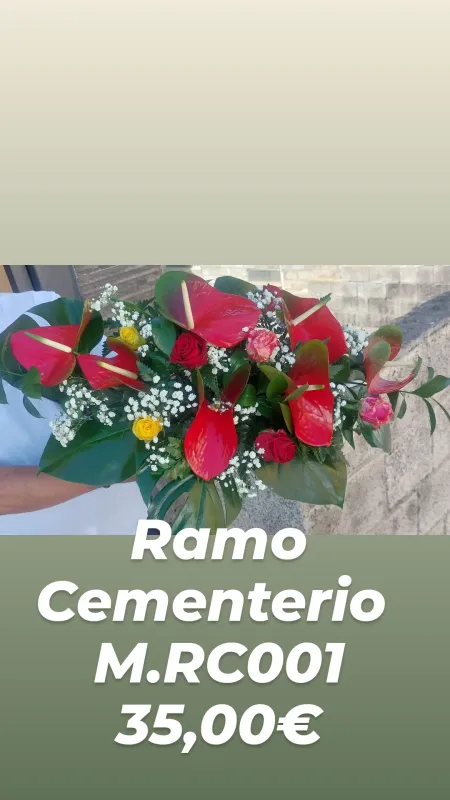 Ramo Cementerio