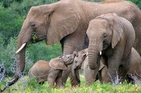 South Africa Self Drive Honeymoon | 12 Nights South Africa Self Drive Honeymoon | 12 Nights
