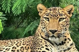 Kruger Park and Panoramic Tour Experience | 4 Days Kruger Park and Panoramic Tour Experience | 4 Days