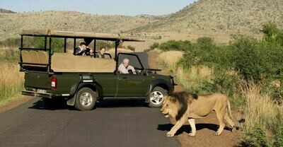 En-Suite Chalet in Kruger Park Safari | 5 Nights En-Suite Chalet in Kruger Park Safari | 5 Nights