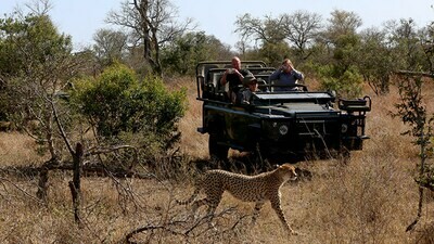 Kruger National Park Camping Safari (2 Nights) Kruger National Park Camping Safari (2 Nights)