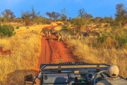 Ultimate Madikwe Retreat: 3-Day Luxury Safari Ultimate Madikwe Retreat: 3-Day Luxury Safari