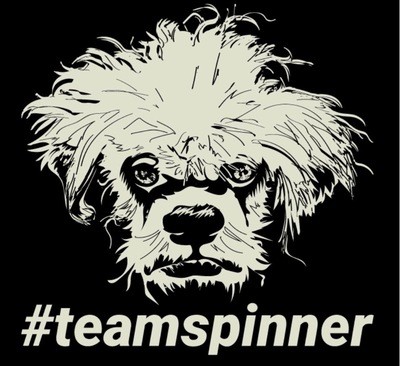 #teamspinner Shirt