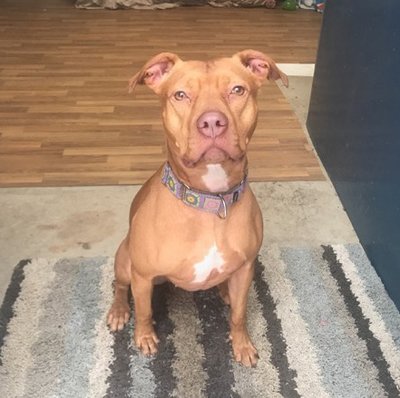 SPONSORSHIP PROGRAMS