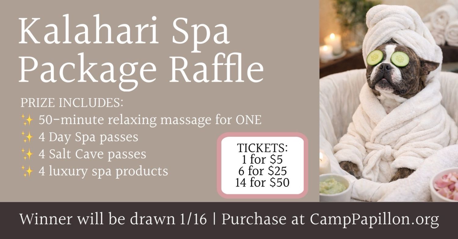 Kalahari Spa Package Raffle To Benefit Meatball- 6 Ticket