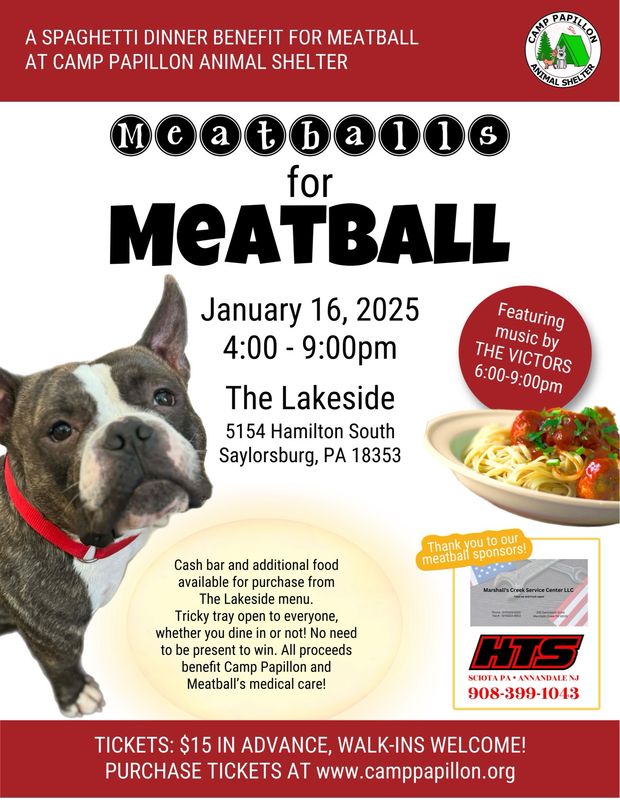 Meatballs For Meatball Spaghetti Dinner Fundraiser at The Lakeside