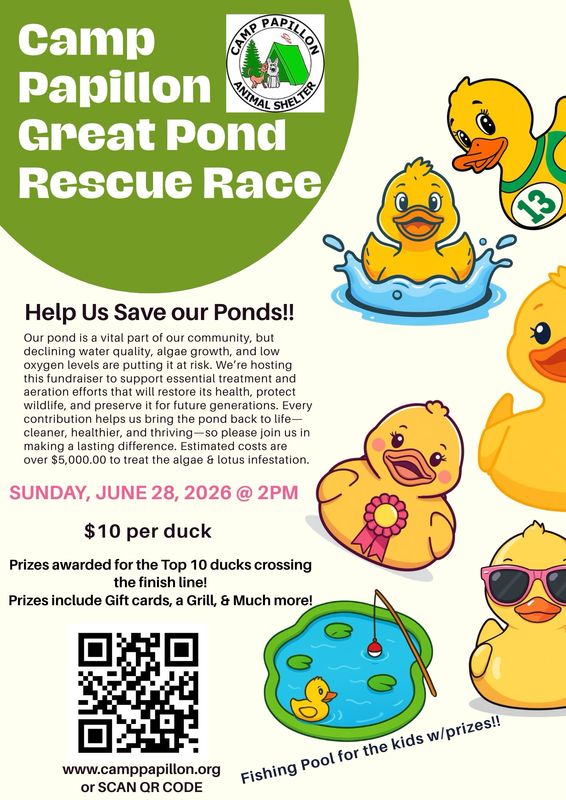 Camp Papillon Great Pond Rescue Race