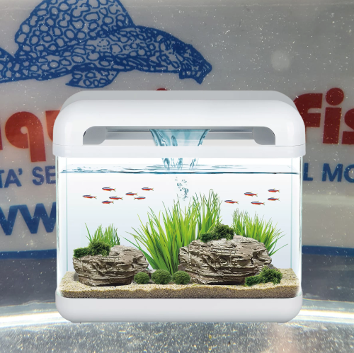 ACQUARIO DERBY BIANCO 15 LITRI