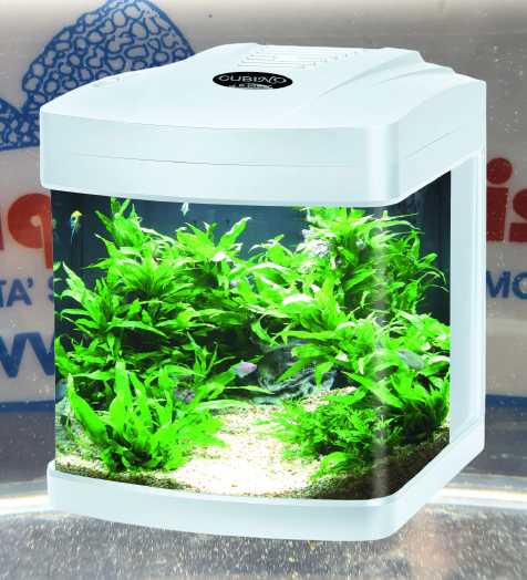 ACQUARIO CUBINO LED BIANCO 26 LITRI