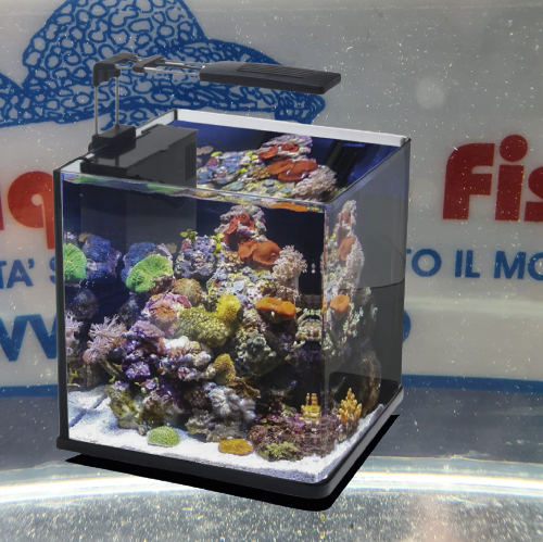 ACQUARIO NANUX NERO 18 LITRI